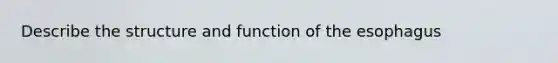 Describe the structure and function of the esophagus