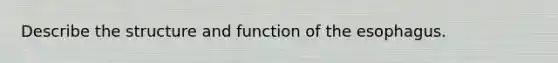 Describe the structure and function of the esophagus.