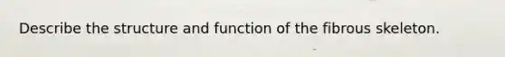 Describe the structure and function of the fibrous skeleton.