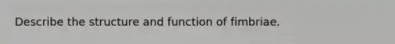 Describe the structure and function of fimbriae.