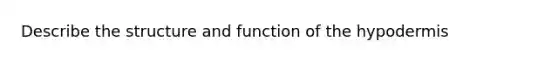 Describe the structure and function of the hypodermis