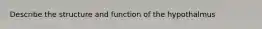 Describe the structure and function of the hypothalmus