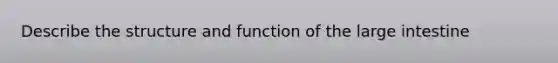 Describe the structure and function of the large intestine