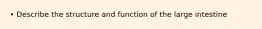 • Describe the structure and function of the large intestine