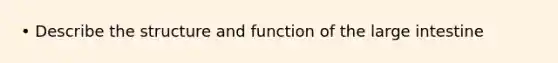 • Describe the structure and function of the large intestine