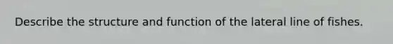 Describe the structure and function of the lateral line of fishes.
