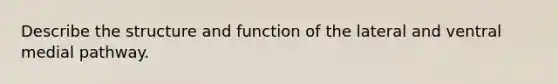 Describe the structure and function of the lateral and ventral medial pathway.