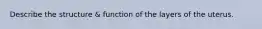 Describe the structure & function of the layers of the uterus.