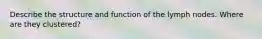 Describe the structure and function of the lymph nodes. Where are they clustered?