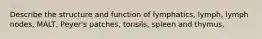 Describe the structure and function of lymphatics, lymph, lymph nodes, MALT, Peyer's patches, tonsils, spleen and thymus.