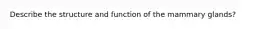 Describe the structure and function of the mammary glands?