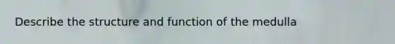 Describe the structure and function of the medulla