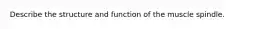 Describe the structure and function of the muscle spindle.
