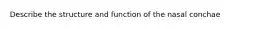 Describe the structure and function of the nasal conchae