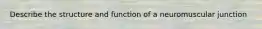 Describe the structure and function of a neuromuscular junction