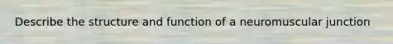 Describe the structure and function of a neuromuscular junction