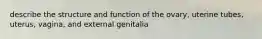 describe the structure and function of the ovary, uterine tubes, uterus, vagina, and external genitalia