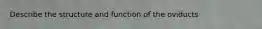 Describe the structure and function of the oviducts