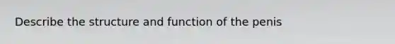 Describe the structure and function of the penis