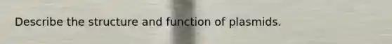 Describe the structure and function of plasmids.