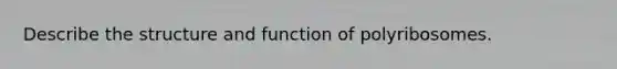 Describe the structure and function of polyribosomes.