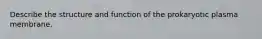 Describe the structure and function of the prokaryotic plasma membrane.