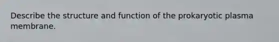 Describe the structure and function of the prokaryotic plasma membrane.