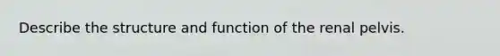 Describe the structure and function of the renal pelvis.