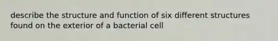 describe the structure and function of six different structures found on the exterior of a bacterial cell