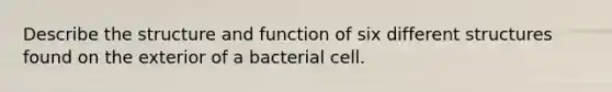 Describe the structure and function of six different structures found on the exterior of a bacterial cell.