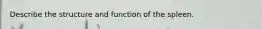 Describe the structure and function of the spleen.