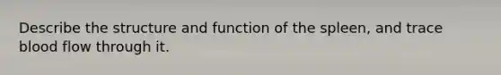 Describe the structure and function of the spleen, and trace blood flow through it.