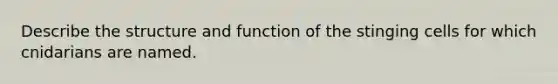 Describe the structure and function of the stinging cells for which cnidarians are named.