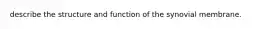 describe the structure and function of the synovial membrane.