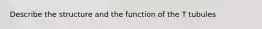 Describe the structure and the function of the T tubules