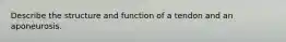 Describe the structure and function of a tendon and an aponeurosis.