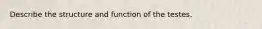 Describe the structure and function of the testes.