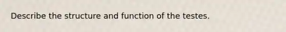 Describe the structure and function of the testes.