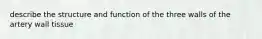 describe the structure and function of the three walls of the artery wall tissue