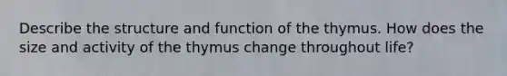 Describe the structure and function of the thymus. How does the size and activity of the thymus change throughout life?