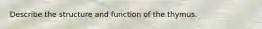 Describe the structure and function of the thymus.