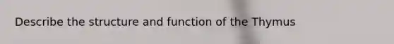 Describe the structure and function of the Thymus