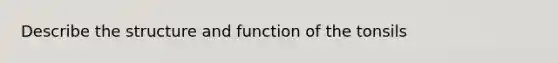 Describe the structure and function of the tonsils