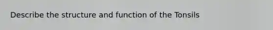 Describe the structure and function of the Tonsils