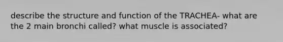 describe the structure and function of the TRACHEA- what are the 2 main bronchi called? what muscle is associated?