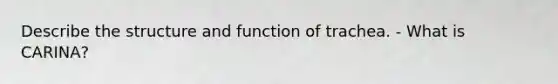 Describe the structure and function of trachea. - What is CARINA?