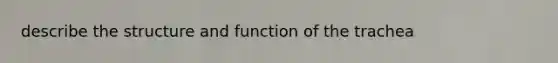 describe the structure and function of the trachea
