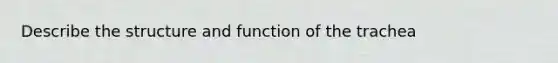 Describe the structure and function of the trachea