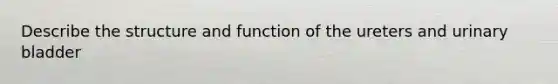 Describe the structure and function of the ureters and urinary bladder