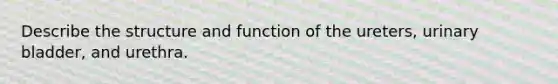 Describe the structure and function of the ureters, urinary bladder, and urethra.